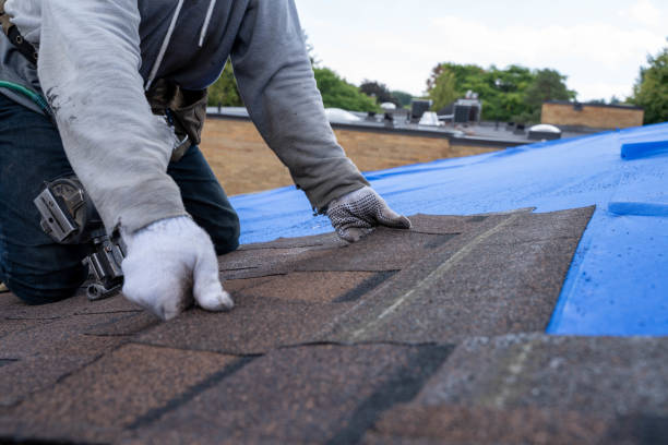 Best Flat Roof Repair Services  in Owosso, MI