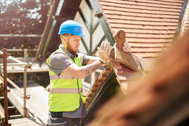 Best Roof Gutter Cleaning  in Owosso, MI