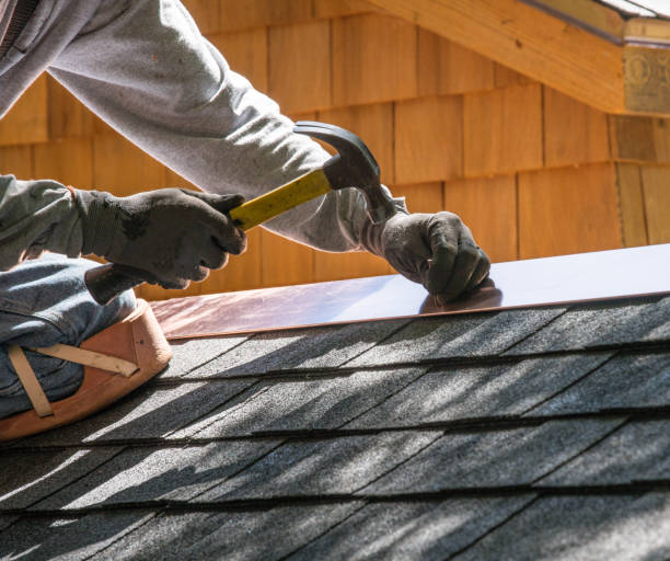 Best Local Roofing Companies  in Owosso, MI
